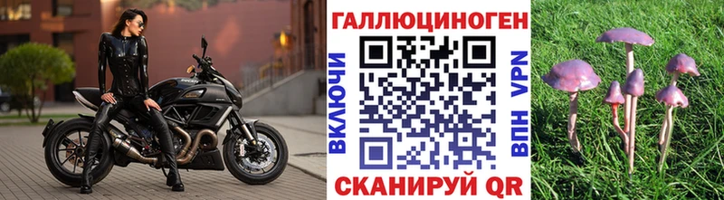где можно купить наркотик  hydra онион  Галлюциногенные грибы прущие грибы  Чекалин 